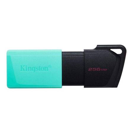 Kingston - Flash drive 256 GB USB 3.2