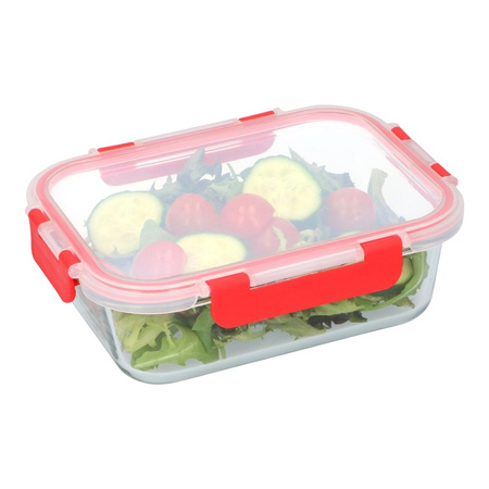 Alpina - Glass food container with lid lunchbox 21x16x6 cm 1 L
