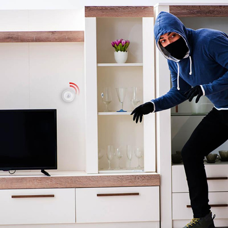 Alpina - Détecteur de mouvement PIR intelligent Réseau Zigbee