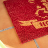 Harry Potter - Hogwarts doormat (40 x 60 cm)