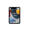 Moshi iVisor AG - Matná ochranná fólie pro iPad mini 6 (2021) (černý rámeček)