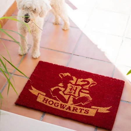 Harry Potter - Hogwarts doormat (40 x 60 cm)