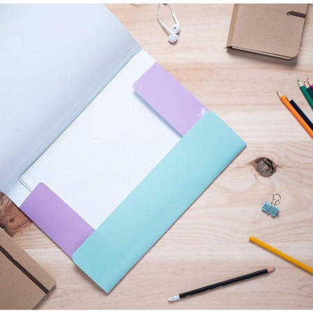 Pusheen - Document storage folder (24 x 34 cm)