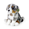 AUSTRALIAN FAT DOG PLUS MASCOT, Realistic Dog, ECO