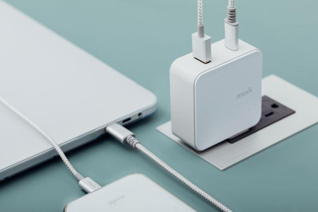 Moshi ProGeo USB-C PD Wall Charger - USB-C Power Delivery + USB wall charger, 42W (EU)