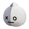 BT21 - Mascotte/coussin en peluche 32 cm VAN