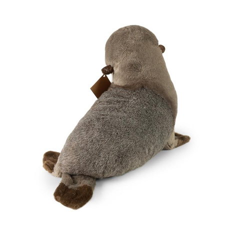 MASKOTKA PLUSZOWA FOKA SZARA REALISTYCZNA 30cm RAPPA ECO FOCZKA DLA DZIECKA