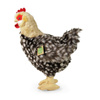Rappa - Mascotte realistica in peluche Gallina con uovo in piedi 33 cm Eco-Friendly