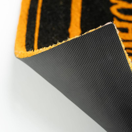 Harry Potter - Rohožka Alohomora (40 x 60 cm)