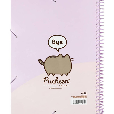 Pusheen - pořadač A4 s gumičkou + 30 průhledných kapes