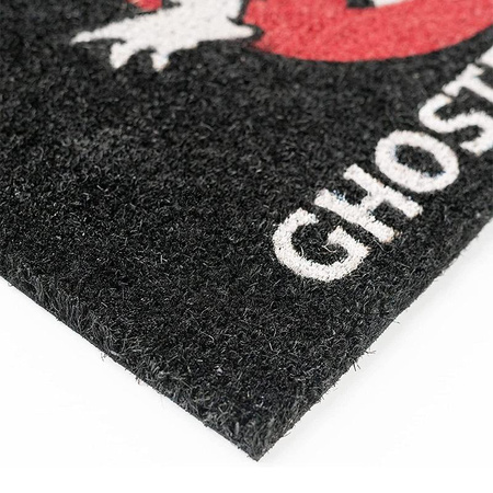 INTERIOR DOOR Matte, Kokosnuss, Ghostbusters, Ghostbusters 40x60