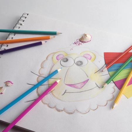 Topwrite - Set de crayons double face 24 couleurs/12 pièces.