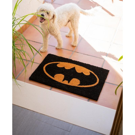 INTERNAL DOOR WIPER, Coconut, Batman, for Shoes 40 x 60 cm