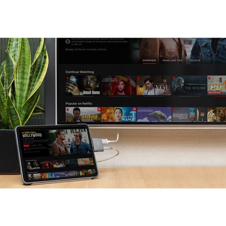 Moshi USB-C Adapter - Adapter für HDMI 4K und HDR mit 60W Power Delivery Ladeunterstützung (Titanium Gray)