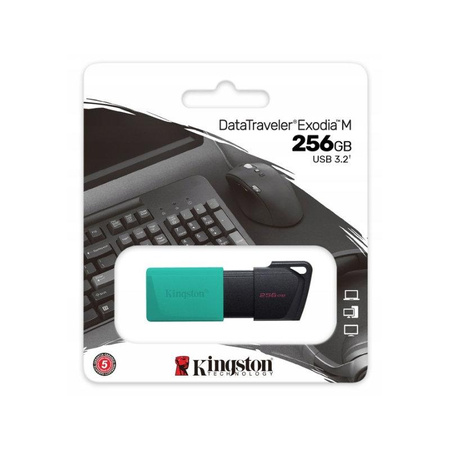 Kingston - 256 GB USB Flash disk 3.2
