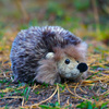 Rappa - Plush Realistic Toy Hedgehog 17 cm Eco-Friendly
