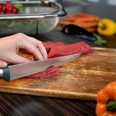 Alpina - Stainless steel knife set 5 pcs.