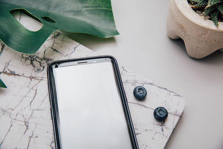 Moshi IonGlass - Verre de protection d'écran pour Samsung Galaxy S9 (Noir)