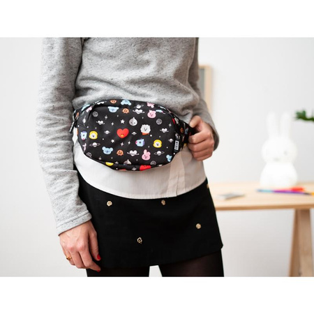 BT21 - Sachet / Boîtier de rein