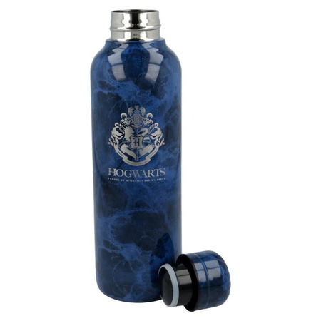 Harry Potter – Thermoflasche aus Edelstahl aus der Hogwarts Kollektion 515 ml