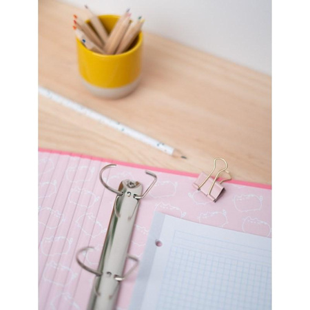 Pusheen - Rose Collection document binder (26 x 32 cm)
