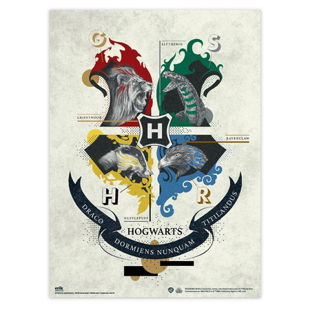 Harry Potter - Set of 2 wall posters (38 x 52 cm)