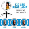 Grundig - Ringlicht für Fotos, Selfie, Make-up