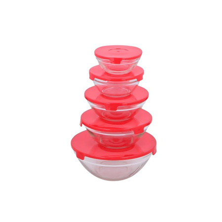 Alpina - Set of glass bowls with lids 5pcs.