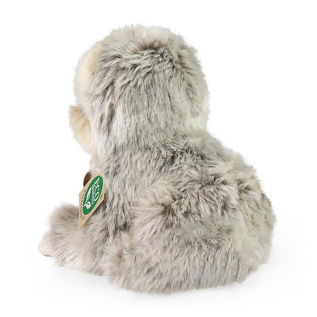 Rappa - Plyšový realistický maskot Lenochod sedící 18 cm Ekologicky šetrný