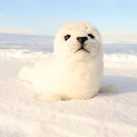 Mascotte foca realistica in peluche Bianco 30 cm Rappa ecologica