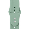 Crong Liquid - Armband für Apple Watch 38/40/41/42mm (Salbei)