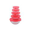 Alpina - Set de bols en verre avec couvercles 5pc.