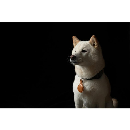 Moshi AirTag Key Ring - Premium key ring for Apple AirTag (Caramel Brown)