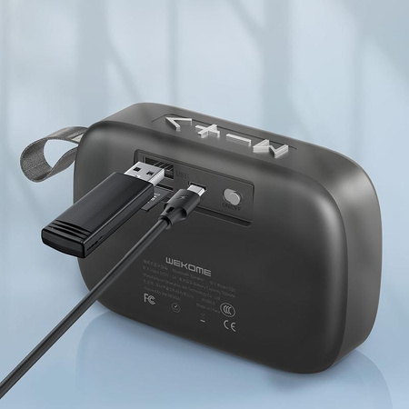 WEKOME D20 - Enceinte portable sans fil Bluetooth V5.0 (Noir)