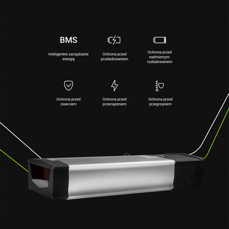 Green Cell - E-Bike battery with charger 48V 20Ah 960Wh Li-Ion RCA