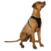 Hundegeschirr / Geschirr 67,6 x 106,5 cm roz. L (schwarz)