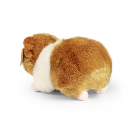 Plüsch Realistisches Meerschweinchen Maskottchen 20 cm Umweltfreundliches Rappa