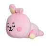 BT21 - Plyšový maskot / polštář 28 cm COOKY Baby