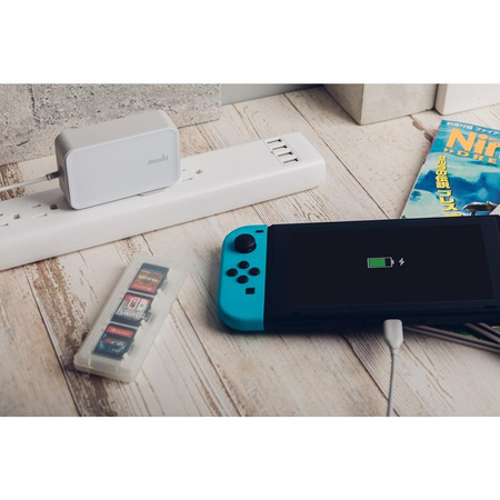 Moshi ProGeo - USB-C 65W Power Delivery Laptop Charger (EU)