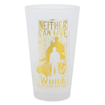 Harry Potter - Set de deux verres dans une boîte décorative de la collection Golden Magic 490 ml