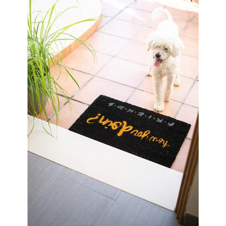 Freunde - Fußmatte (40 x 60 cm)