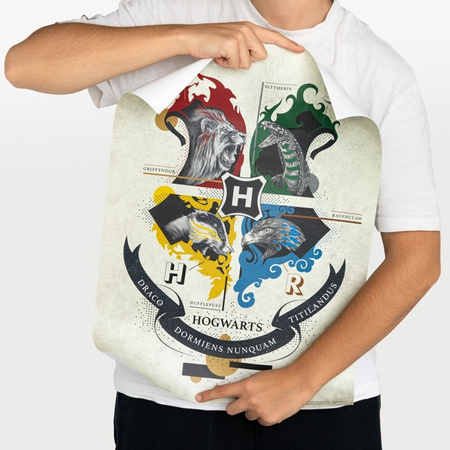 Harry Potter - 2 darabos fali poszter szett (38 x 52 cm)