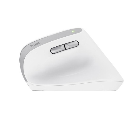 Trust Bayo II - Souris ergonomique sans fil (blanc)