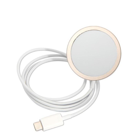 Guess Bundle Pack MagSafe 4G - MagSafe iPhone 14 Pro Max Case + Charger Set (blue/gold)