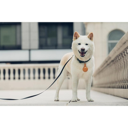 Moshi AirTag Key Ring - Premium key ring for Apple AirTag (Caramel Brown)