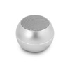 Guess Mini Bluetooth Speaker 3W 4H (Silver)