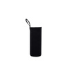 GLASS WATER BOTTLE WITH BPA FREE FILTER, for Tea, Case, Alpina, 450ml
