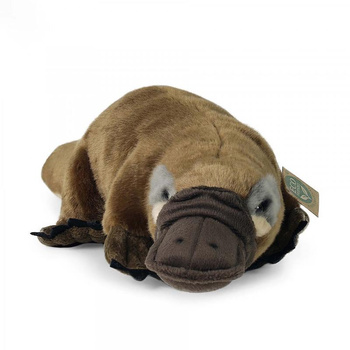 Rappa - Plyšový realistický maskot Zobák 30 cm Ekologicky šetrný