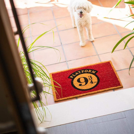 Harry Potter - Törlőkendő (40 x 60 cm)