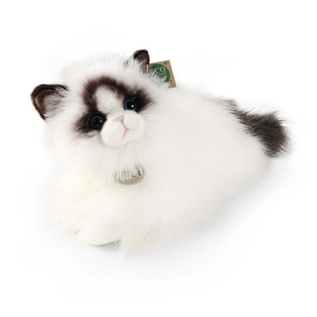 Peluche realistico gatto Ragdoll Mascotte sdraiato 35 cm Rappa ecologica